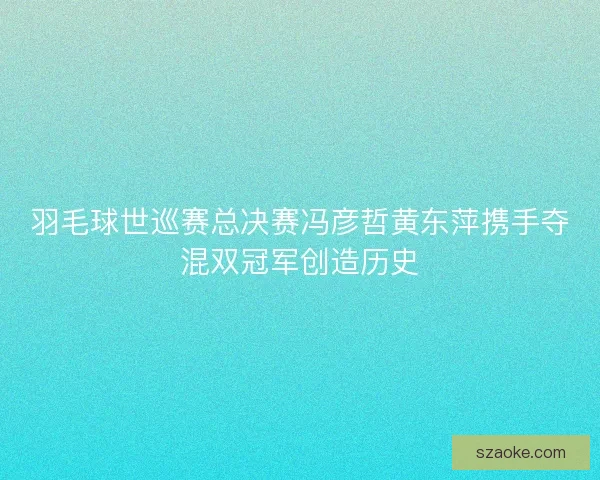 羽毛球世巡赛总决赛冯彦哲黄东萍携手夺混双冠军创造历史